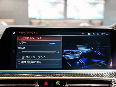 2022 BMW X6 缩略图 92