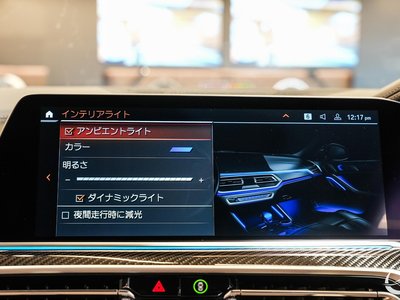 2022 BMW X6 缩略图 93