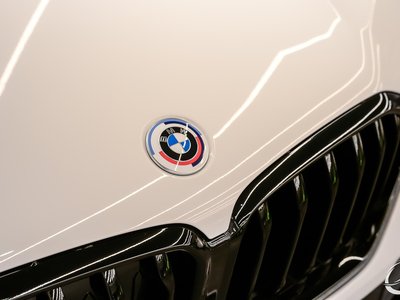 2022 BMW X6 缩略图 20
