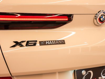 2022 BMW X6 缩略图 129