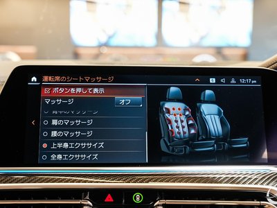 2022 BMW X6 缩略图 51