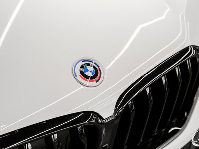 2022 BMW X6 缩略图 21