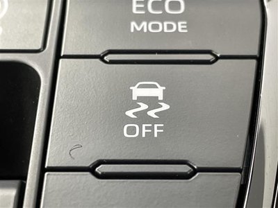 2025 TOYOTA ALPHARD — миниатюра 24