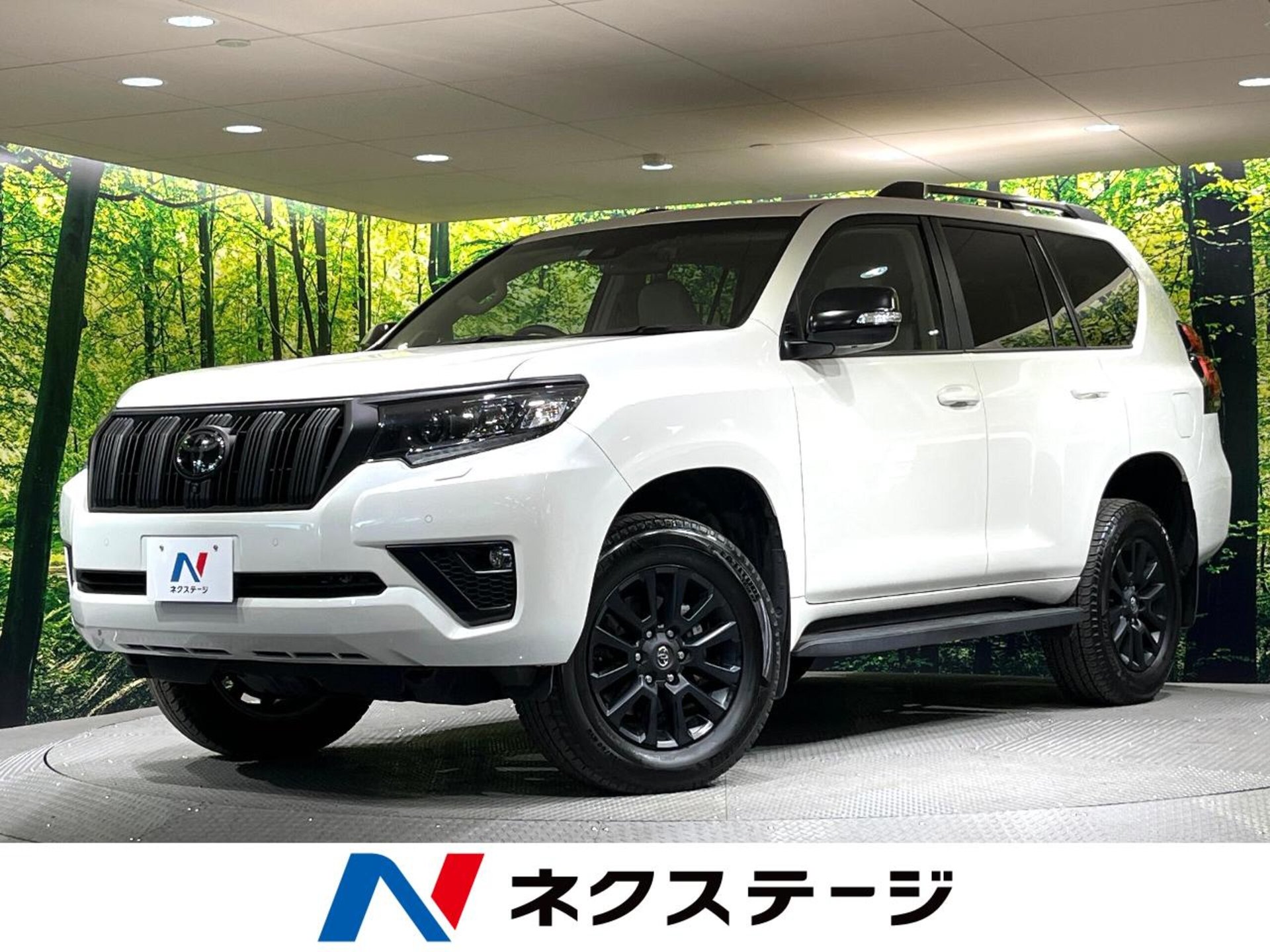 TOYOTA LAND CRUISER PRADO - View 1