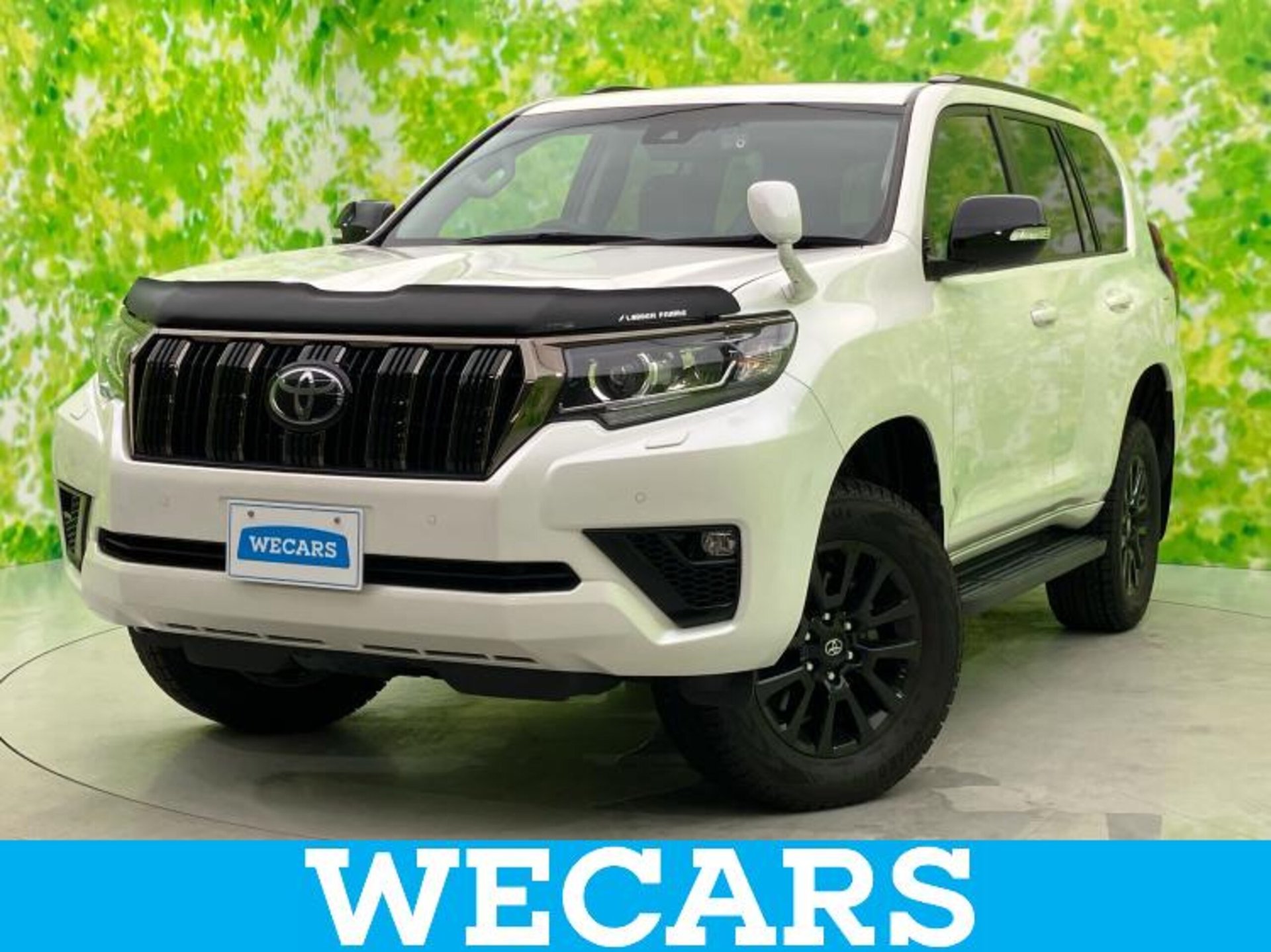 TOYOTA LAND CRUISER PRADO - View 1