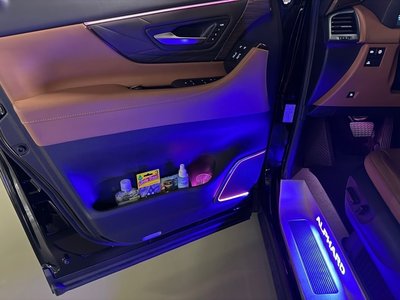 2025 Toyota ALPHARD — миниатюра 12