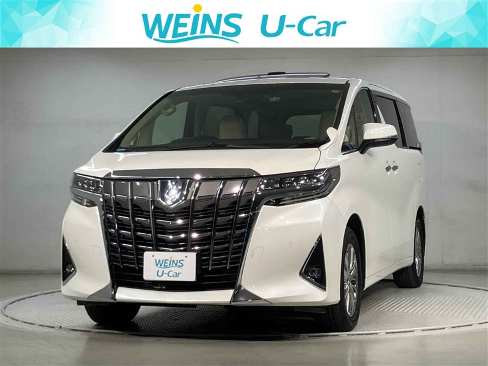 TOYOTA ALPHARD - View 1