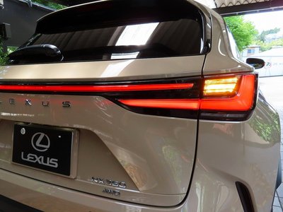 صورة مصغرة 19 لـ 2025 Lexus NX