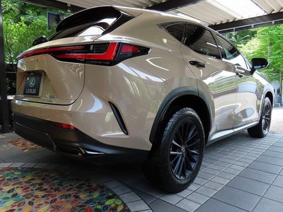 صورة مصغرة 38 لـ 2025 Lexus NX