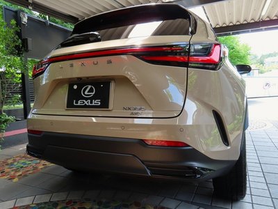 LEXUS NX - 2