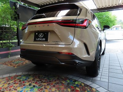 صورة مصغرة 44 لـ 2025 Lexus NX