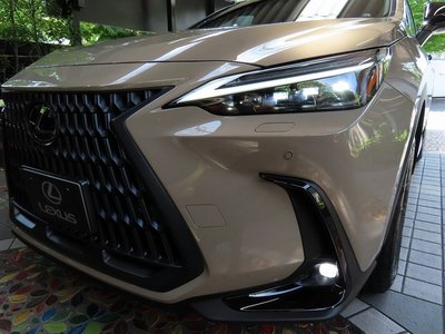 LEXUS NX - 10