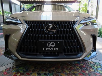 LEXUS NX - 6