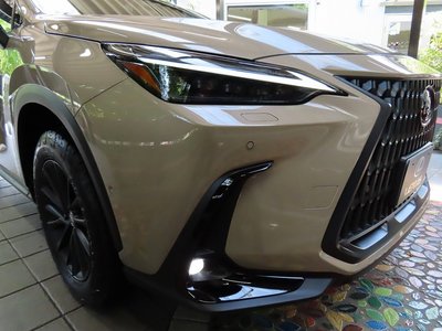 LEXUS NX - 8