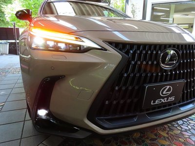 صورة مصغرة 12 لـ 2025 Lexus NX