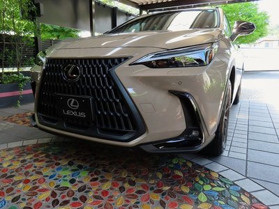 صورة مصغرة 43 لـ 2025 Lexus NX