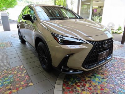 صورة مصغرة 45 لـ 2025 Lexus NX