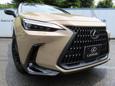 صورة مصغرة 84 لـ 2025 Lexus NX