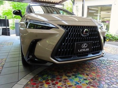 صورة مصغرة 41 لـ 2025 Lexus NX