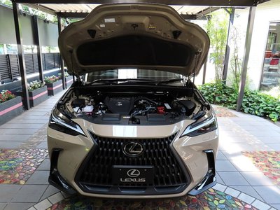 صورة مصغرة 81 لـ 2025 Lexus NX