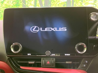LEXUS NX - 4