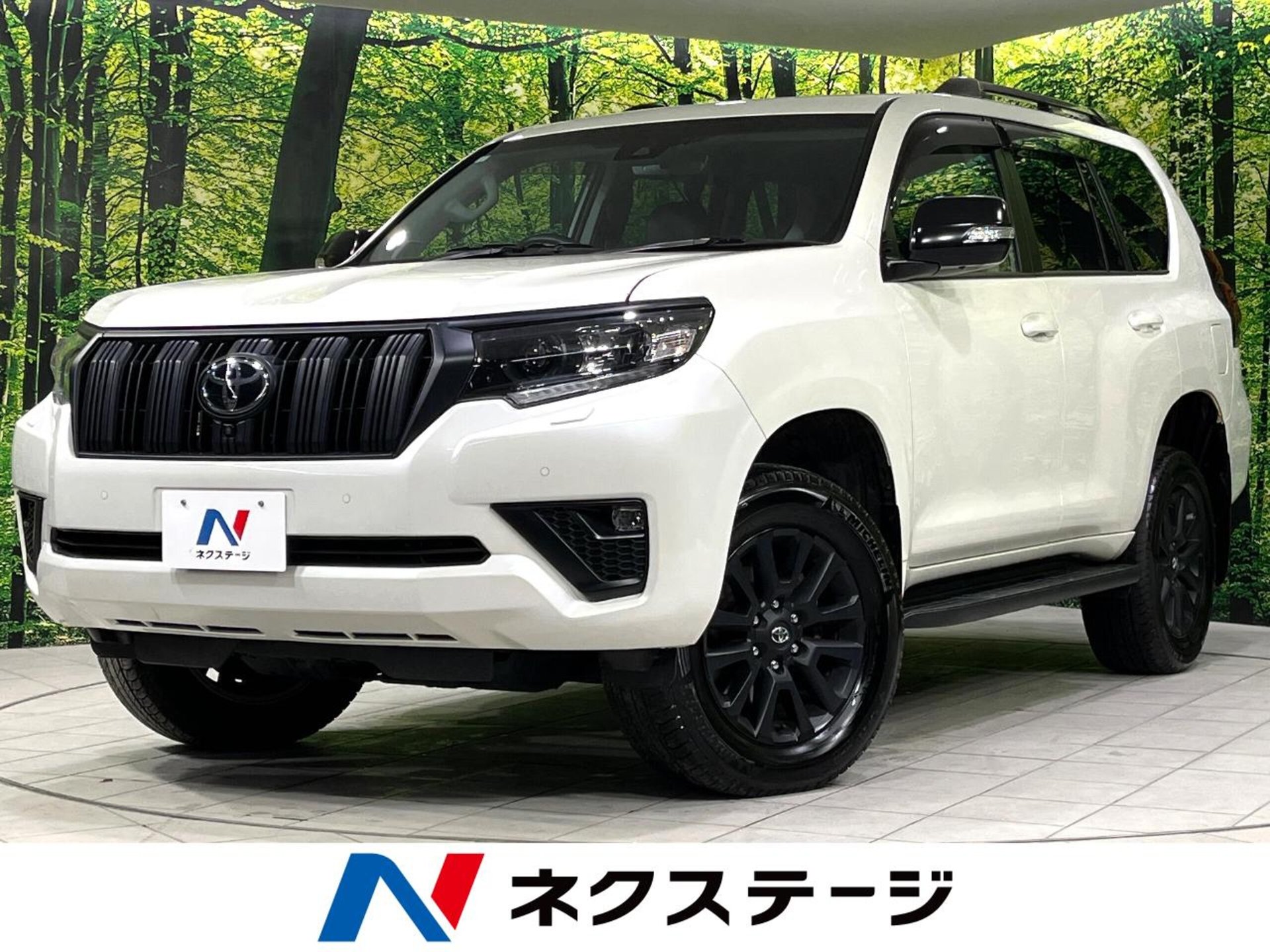 TOYOTA LAND CRUISER PRADO - View 1