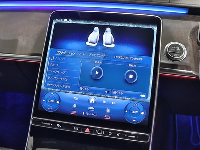 2021 Mercedes-BENZ S-CLASS photo 5