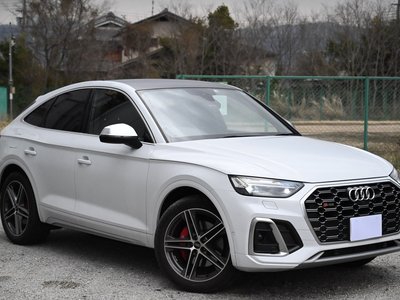 AUDI SQ5 - 6