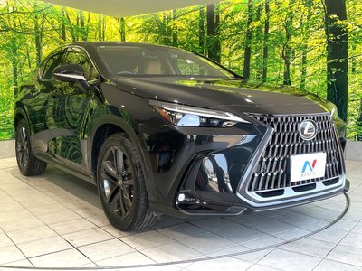 2022 Lexus NX — миниатюра 16