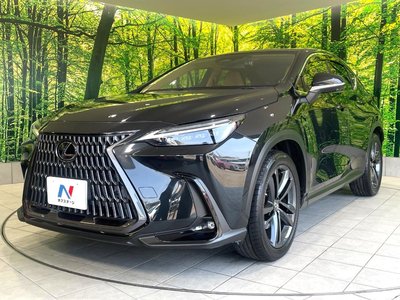 2022 Lexus NX — миниатюра 66