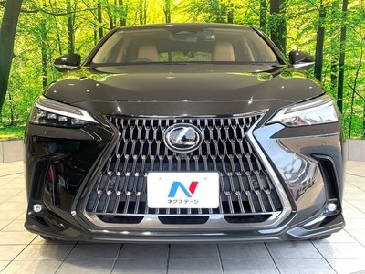 2022 Lexus NX — миниатюра 14