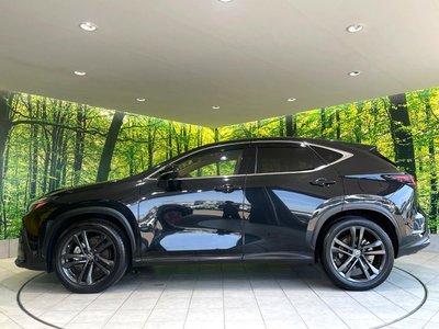 2022 Lexus NX — миниатюра 69