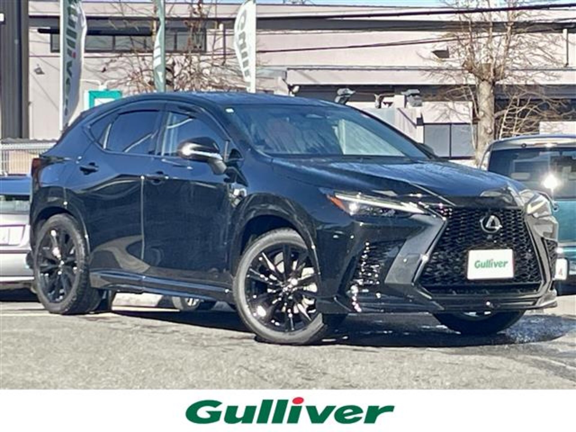 LEXUS NX - View 1