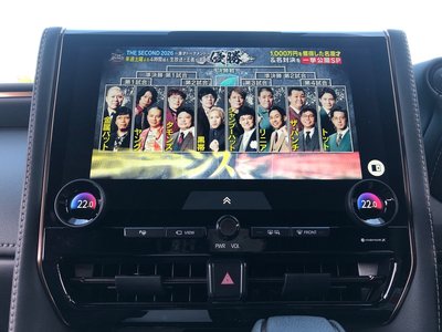 2025 TOYOTA ALPHARD 缩略图 14