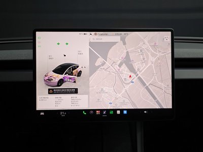 2025 Tesla MODEL 3 thumbnail 20