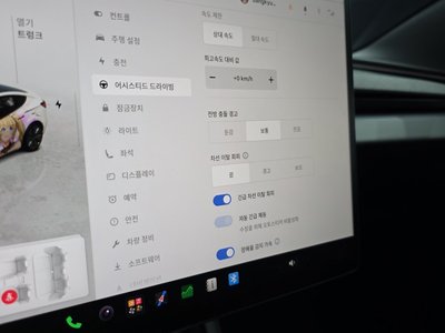 2025 Tesla MODEL 3 thumbnail 22