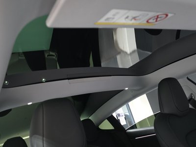 2025 Tesla MODEL 3 thumbnail 23