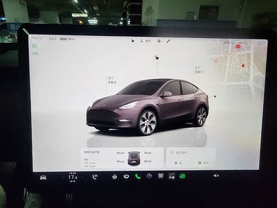 2022 Tesla MODEL Y thumbnail 19