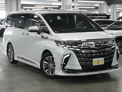 2024 Toyota ALPHARD 照片 8