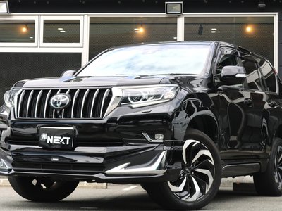 2021 Toyota LAND CRUISER PRADO 照片 1