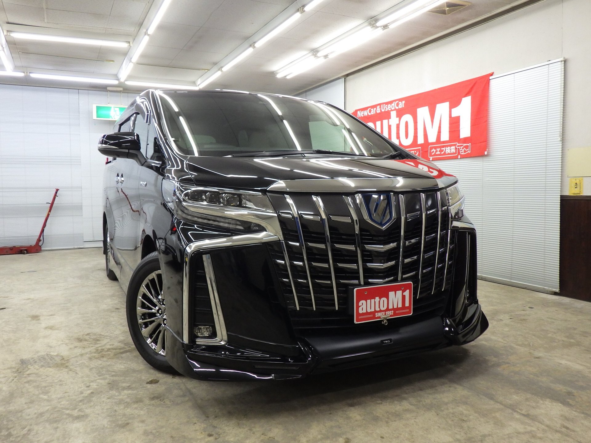 TOYOTA ALPHARD - View 1