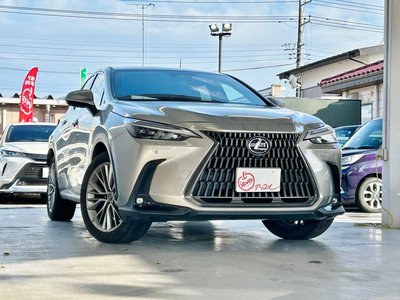 LEXUS NX - 3