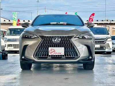 LEXUS NX - 2