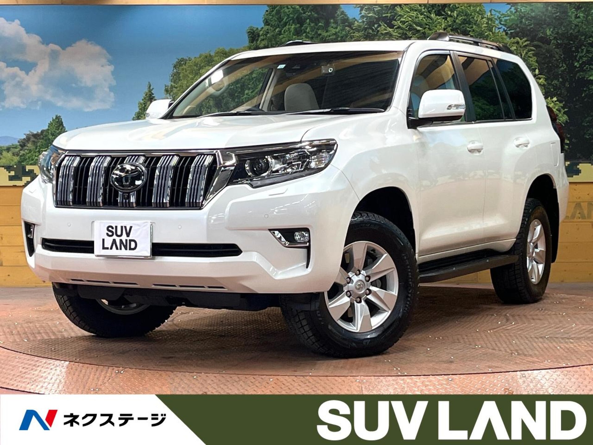 TOYOTA LAND CRUISER PRADO - View 1