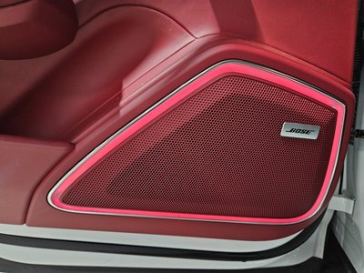 2020 Porsche PANAMERA 缩略图 17