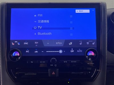 2025 Toyota ALPHARD — миниатюра 16
