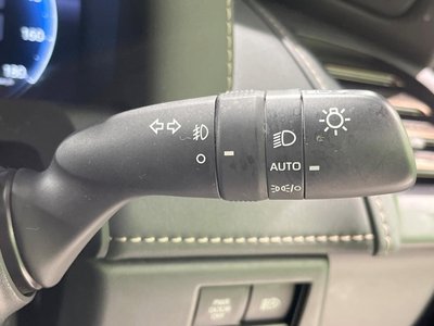 2024 TOYOTA ALPHARD 缩略图 52