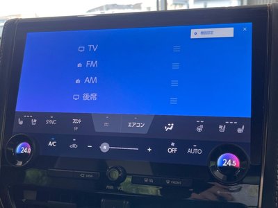 2024 TOYOTA ALPHARD 缩略图 36