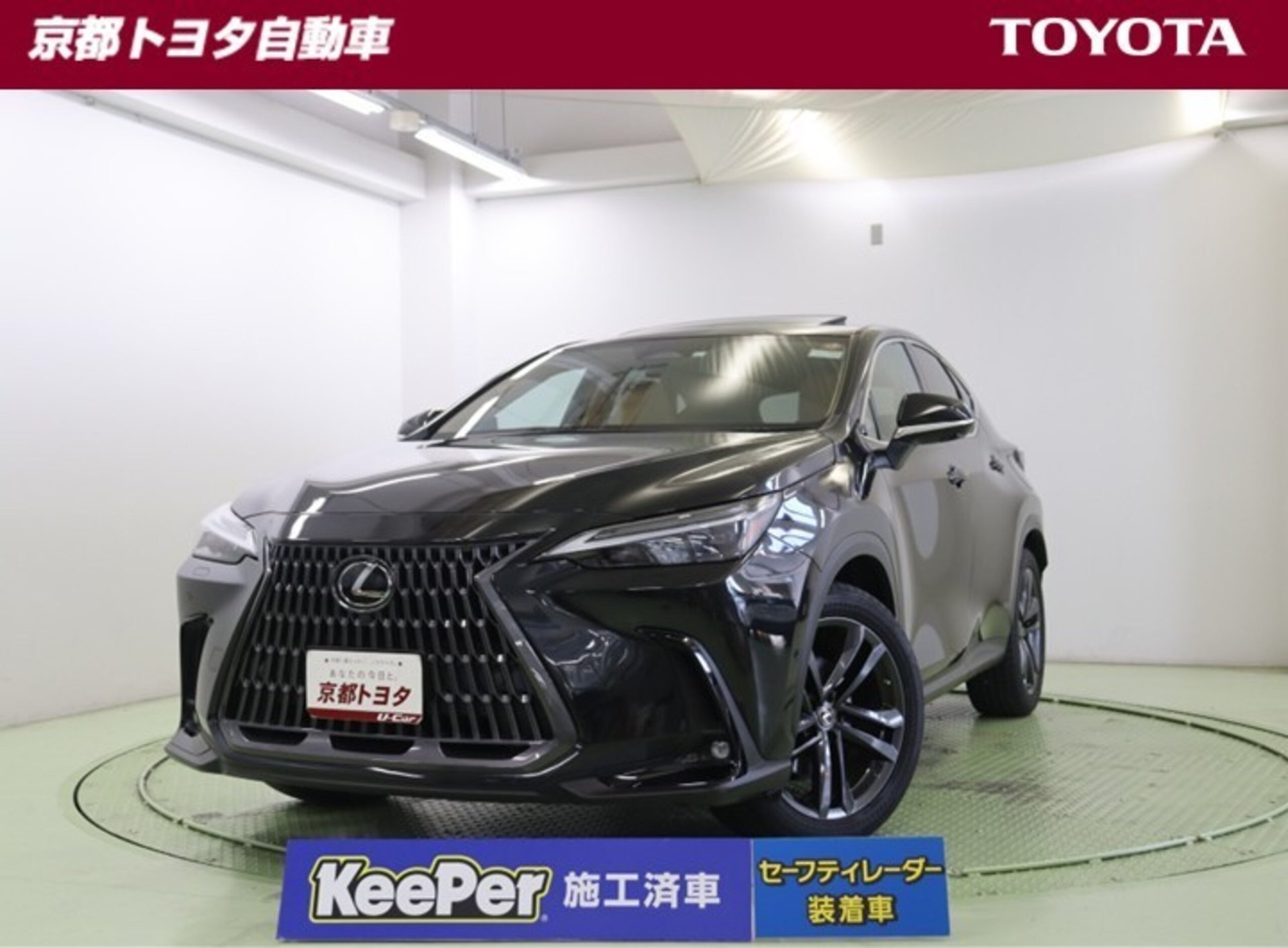 LEXUS NX - View 1