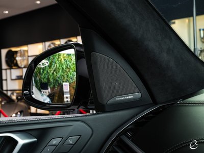 2021 BMW X7 — миниатюра 78